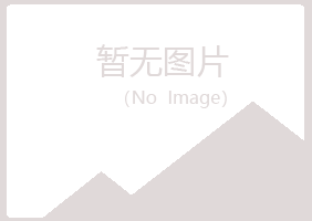 福建山柳咨询有限公司